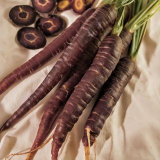 Deep Purple Carrot Thumbnail